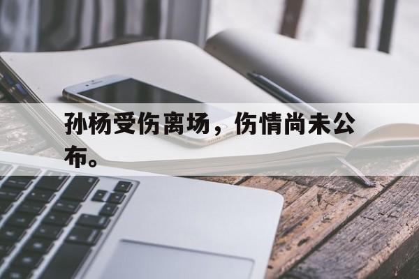 乐鱼APP下载-孙杨受伤离场，伤情尚未公布。